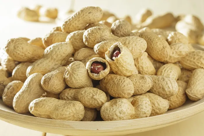 Impresión enmarcada : Maníes en conchas. Impresión enmarcada : Maníes en conchas.