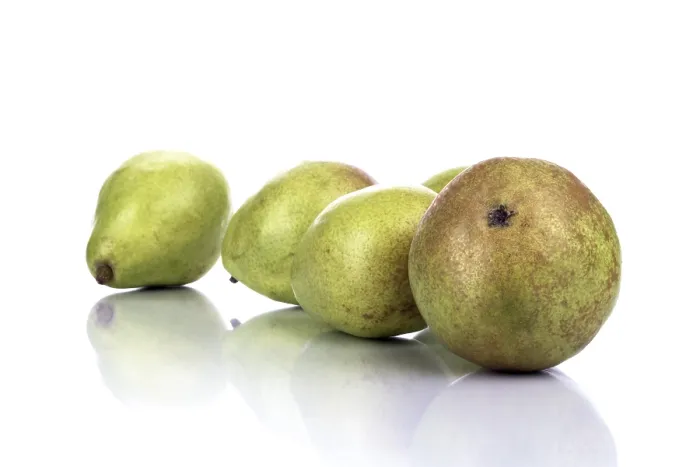 Impresión enmarcada : Pera (Pyrus) Impresión enmarcada : Pera (Pyrus)