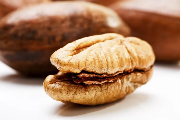 Impresión enmarcada : Pecans Impresión enmarcada : Pecans