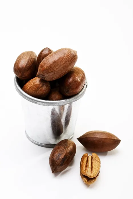 Impresión enmarcada : Pecans Impresión enmarcada : Pecans