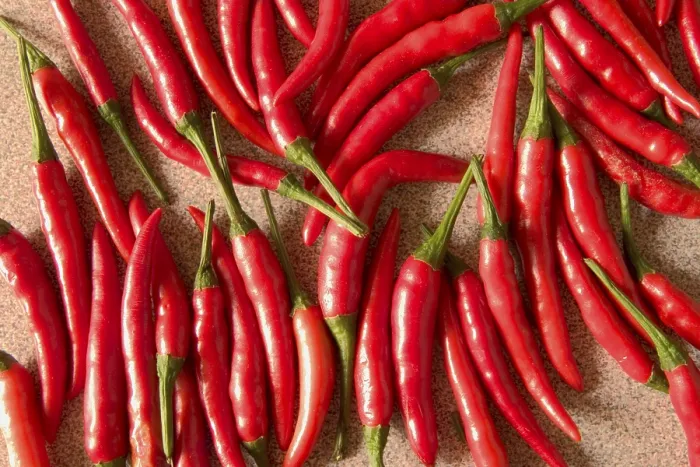 Impresión enmarcada : Pepper Impresión enmarcada : Pepper