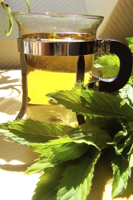 Impresión enmarcada : Té de menta picante