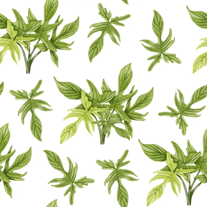 Impresión enmarcada : Patrón sin solución de continuidad de Philodendron. Impresión enmarcada : Patrón sin solución de continuidad de Philodendron.