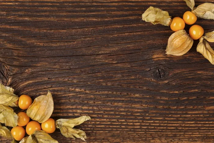 Impresión enmarcada : Fondo de Physalis con espacio para copiar. Impresión enmarcada : Fondo de Physalis con espacio para copiar.