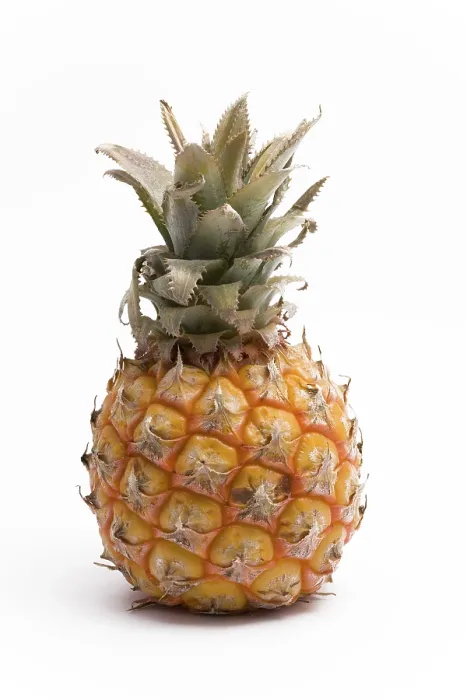 Impresión enmarcada : Pineapple