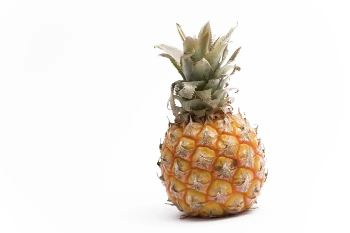 Impresión enmarcada : Pineapple