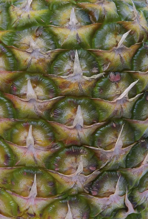 Impresión enmarcada : Piña, piña.