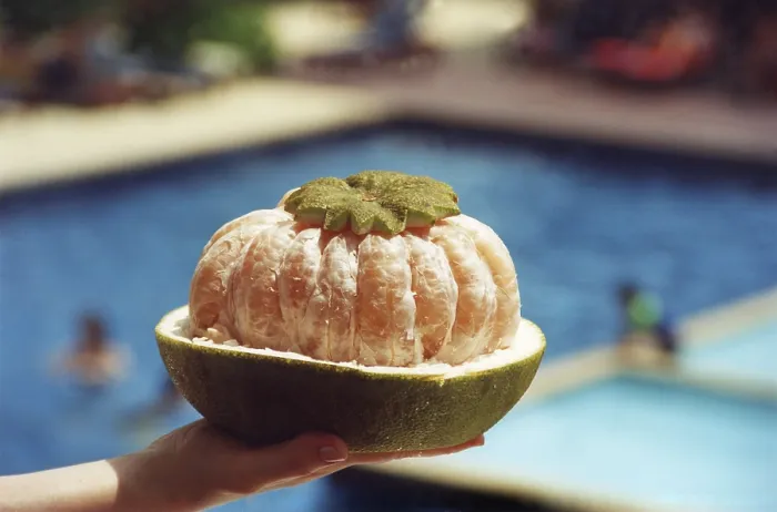 Impresión enmarcada : Pomelo Impresión enmarcada : Pomelo