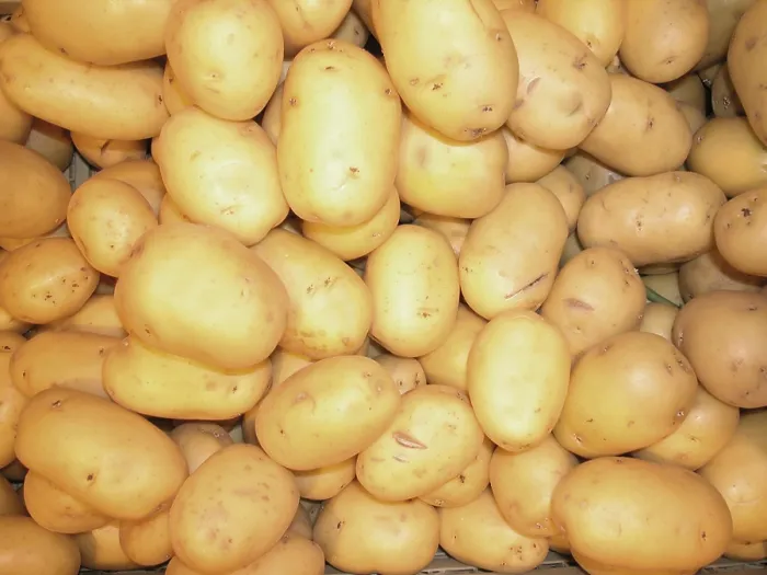 Impresión enmarcada : Potatoes Impresión enmarcada : Potatoes