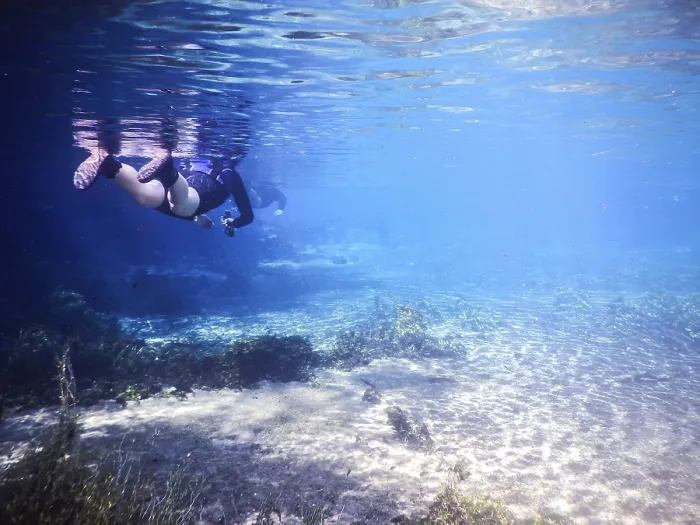 Impresión enmarcada : Practicar buceo y snorkel.