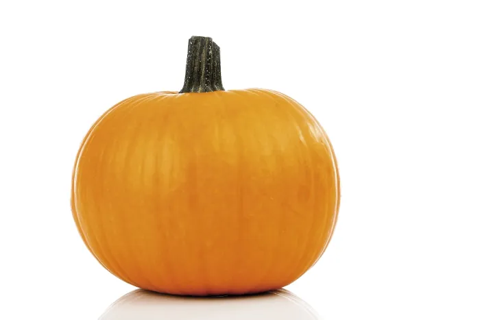 Impresión enmarcada : Pumpkin Impresión enmarcada : Pumpkin