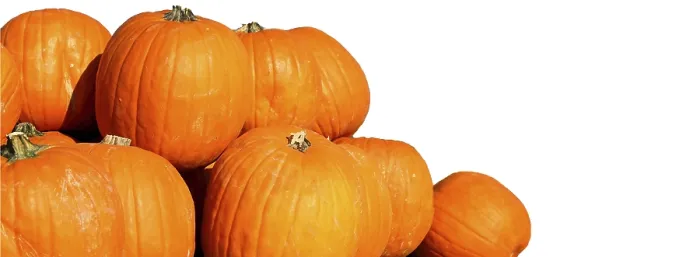 Impresión enmarcada : Calabazas con espacio para texto. Impresión enmarcada : Calabazas con espacio para texto.