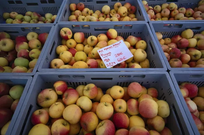 Impresión enmarcada : Rango de diferentes tipos de manzanas.