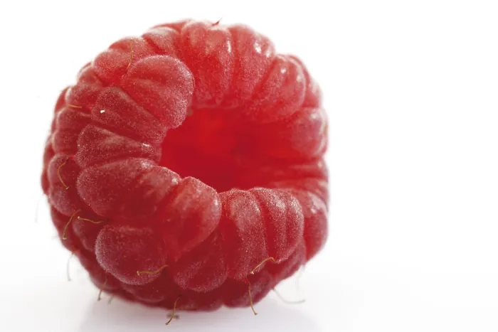 Impresión enmarcada : Raspberry
