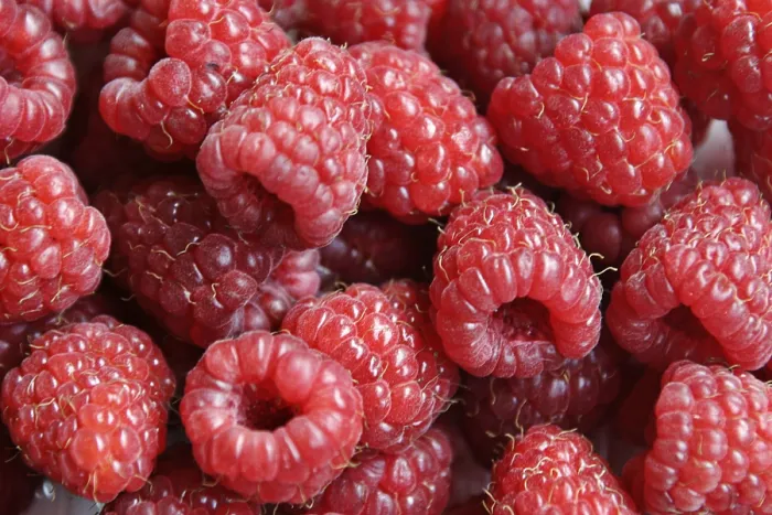 Impresión enmarcada : Raspberrys Impresión enmarcada : Raspberrys