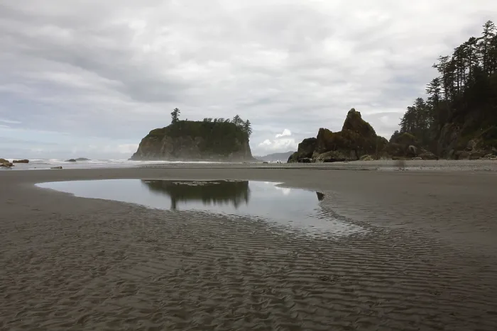 Impresión enmarcada : Playa Ruby, Forks, Península Olímpica.