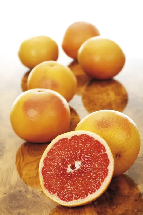 Impresión enmarcada : Toronja Ruby Roja (Citrus) Impresión enmarcada : Toronja Ruby Roja (Citrus)