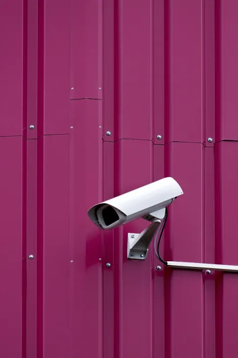 Impresión enmarcada : Security Impresión enmarcada : Security