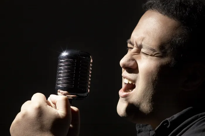 Impresión enmarcada : Singer Impresión enmarcada : Singer