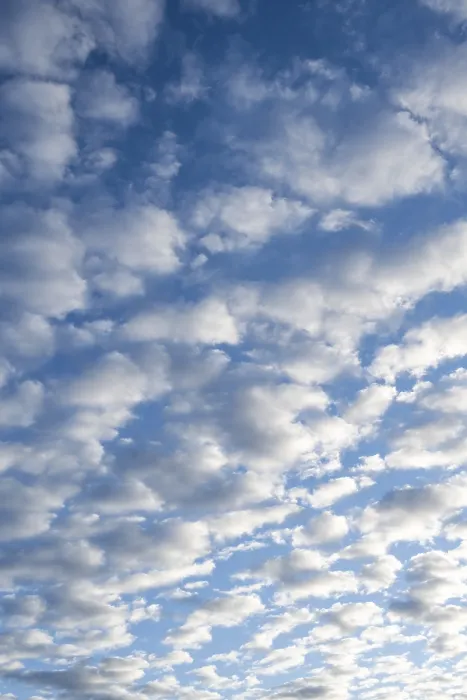 Impresión enmarcada : Cielo con nubes de cirrocumulus, nubes lanudas. Impresión enmarcada : Cielo con nubes de cirrocumulus, nubes lanudas.