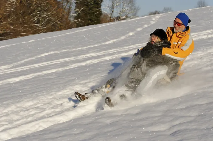 Impresión enmarcada : Sledding