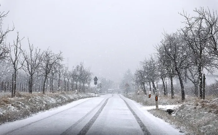 Impresión enmarcada : Snowfall Impresión enmarcada : Snowfall