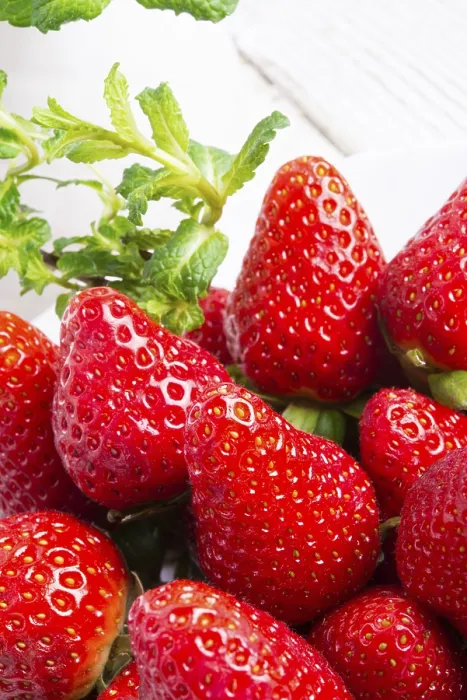 Impresión enmarcada : Fresas y mentas.