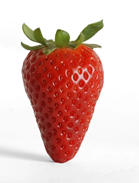 Impresión enmarcada : Strawberry Impresión enmarcada : Strawberry