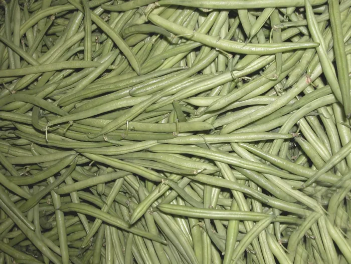 Impresión enmarcada : Frijoles verdes. Impresión enmarcada : Frijoles verdes.