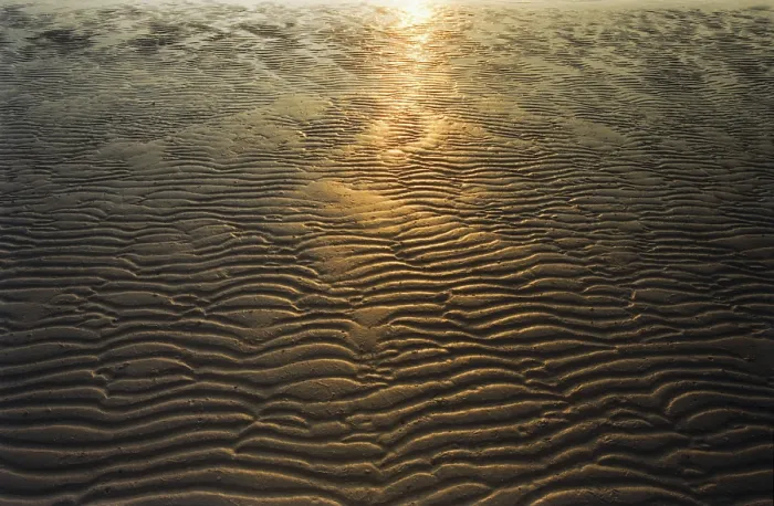 Impresión enmarcada : Sunset