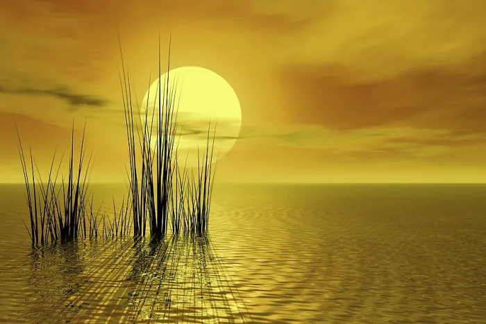 Impresión enmarcada : Sunset