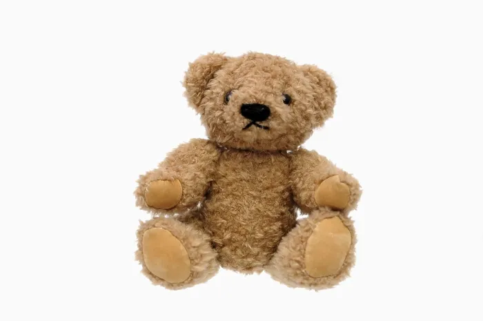 Impresión enmarcada : Oso de peluche. Impresión enmarcada : Oso de peluche.