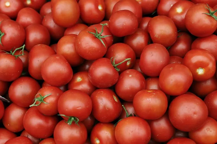 Impresión enmarcada : Tomatoes