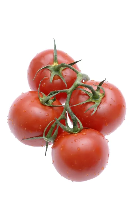 Impresión enmarcada : Tomatoes Impresión enmarcada : Tomatoes