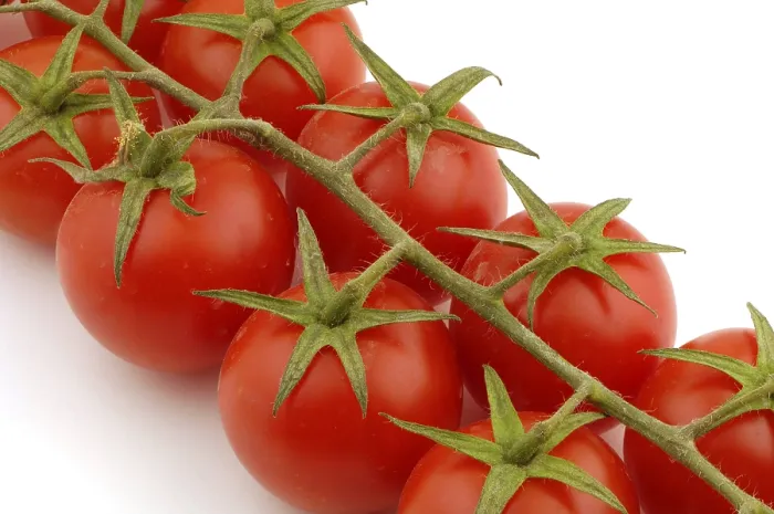 Impresión enmarcada : Tomatoes