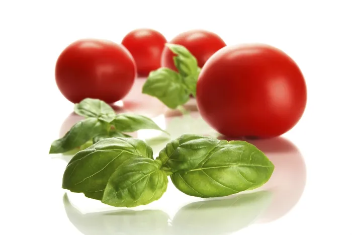 Impresión enmarcada : Tomates y albahaca.