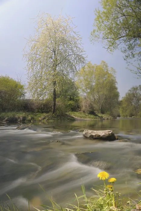 Impresión enmarcada : 'Río Triesting en primavera, valle del Triestingtal'.
