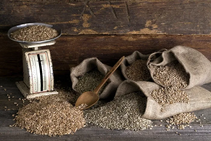 Impresión enmarcada : Tipos varios de cereales, trigo. Impresión enmarcada : Tipos varios de cereales, trigo.