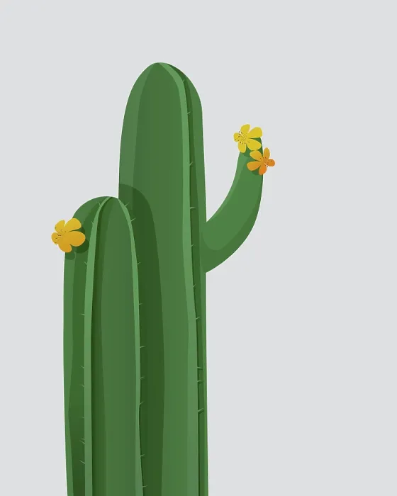 Impresión enmarcada : Fondo vector con cactus en flor Impresión enmarcada : Fondo vector con cactus en flor