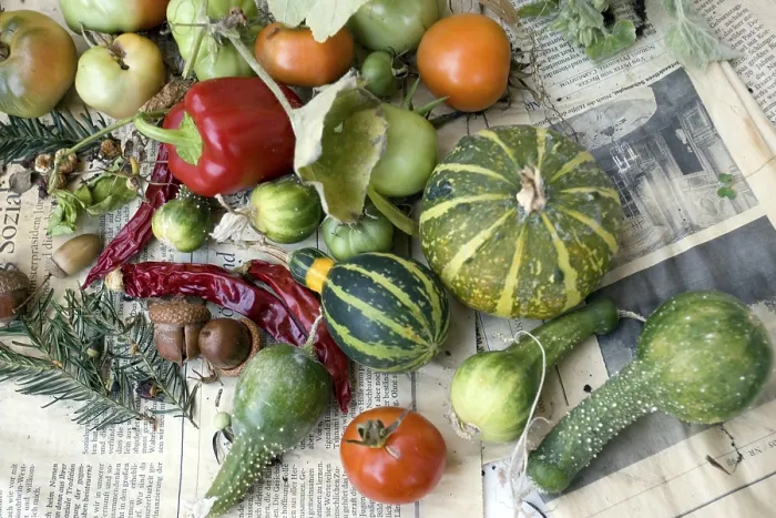 Impresión enmarcada : Vegetable Impresión enmarcada : Vegetable