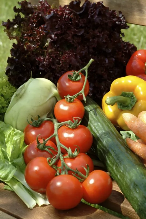 Impresión enmarcada : Vegetables Impresión enmarcada : Vegetables