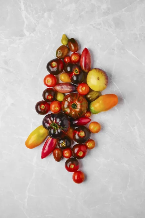 Impresión enmarcada : Composición vertical con varios tipos de tomates. Impresión enmarcada : Composición vertical con varios tipos de tomates.