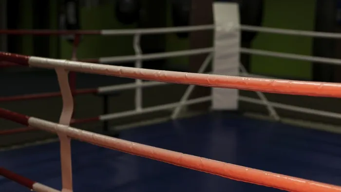 Impresión enmarcada : Vista frontal de ringo de boxeo vacío.