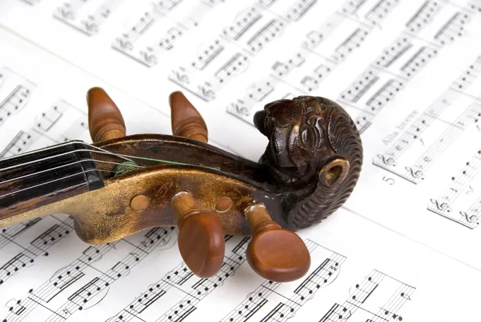 Impresión enmarcada : Violin