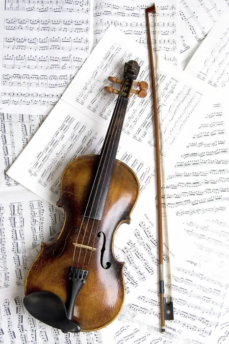 Impresión enmarcada : Violin