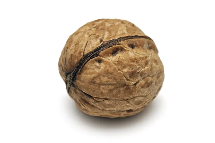 Impresión enmarcada : Walnut