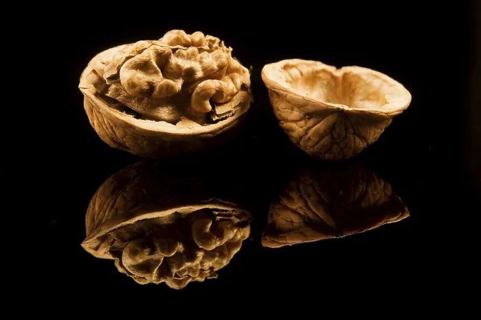 Impresión enmarcada : Walnut