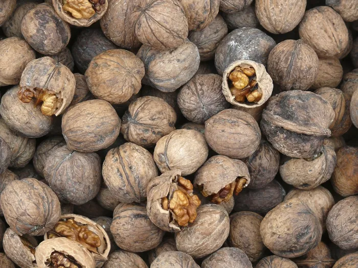 Impresión enmarcada : Walnut Impresión enmarcada : Walnut