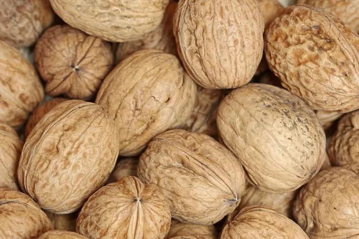 Impresión enmarcada : Walnuts Impresión enmarcada : Walnuts