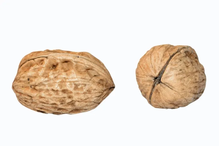 Impresión enmarcada : Walnuts